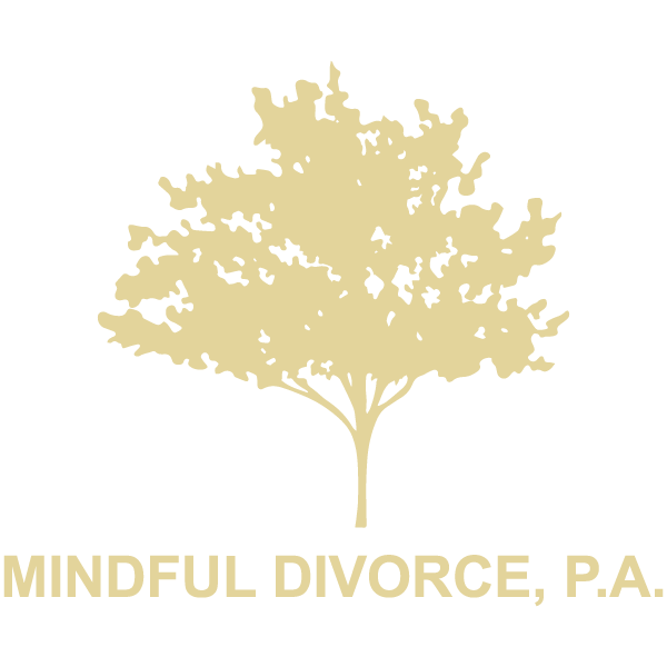 Mindfull Divorce